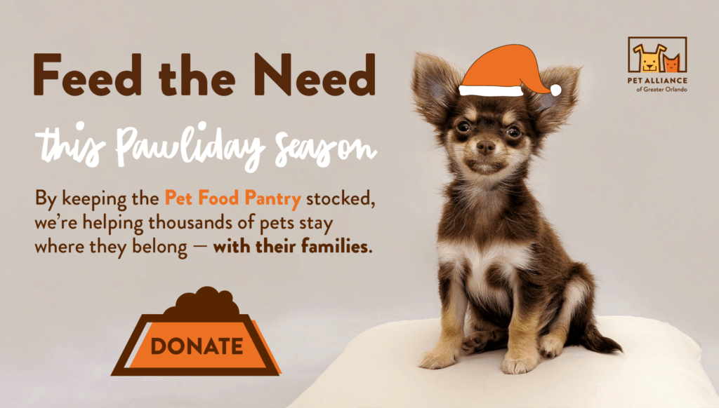 Feed the Need this Pawliday Season Pet Alliance of Greater Orlando