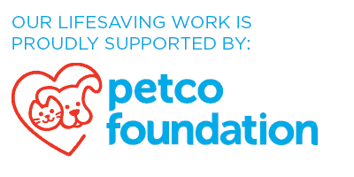Petco Foundation Site Badge - White