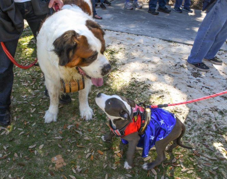 Pet Alliance of Greater Orlando Paws in the Park Photo 6