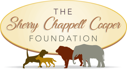 Sherry Chappell Cooper Foundation logo final no text